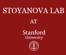 Stoyanova Lab opens in the Department of Radiology and Canary Center for Cancer Early Detection at Stanford University