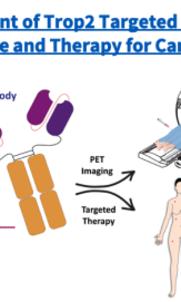 "Development of Trop2 Targeted PET-imaging Probe and Therapy for Cancer." Illustration