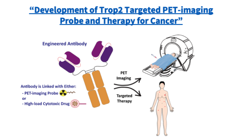 "Development of Trop2 Targeted PET-imaging Probe and Therapy for Cancer." Illustration