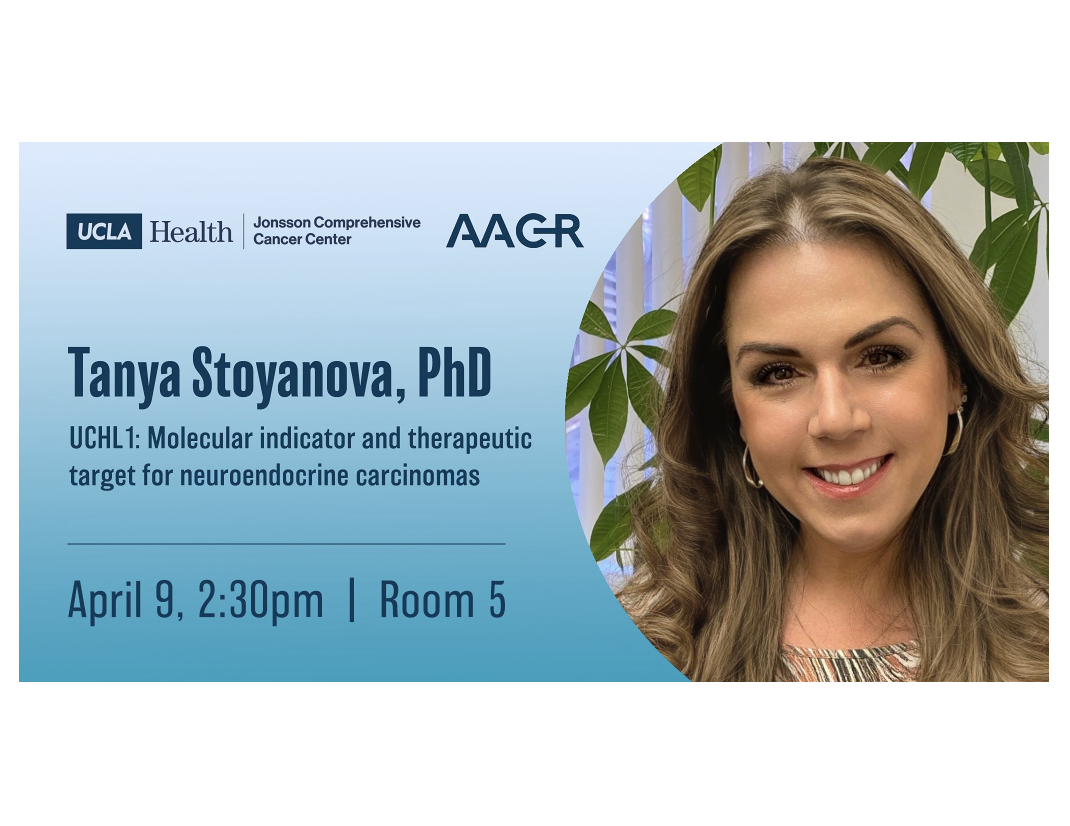 Dr. Tanya Stoyanova gives a talk at 2024 AACR on “UCHL1 as a Molecular indicator and therapeutic target for neuroendocrine carcinomas”
